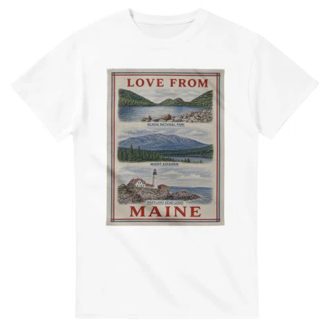 Framed scenic design for Maine, with several local views, a decorative border and LOVE FROM lettering.