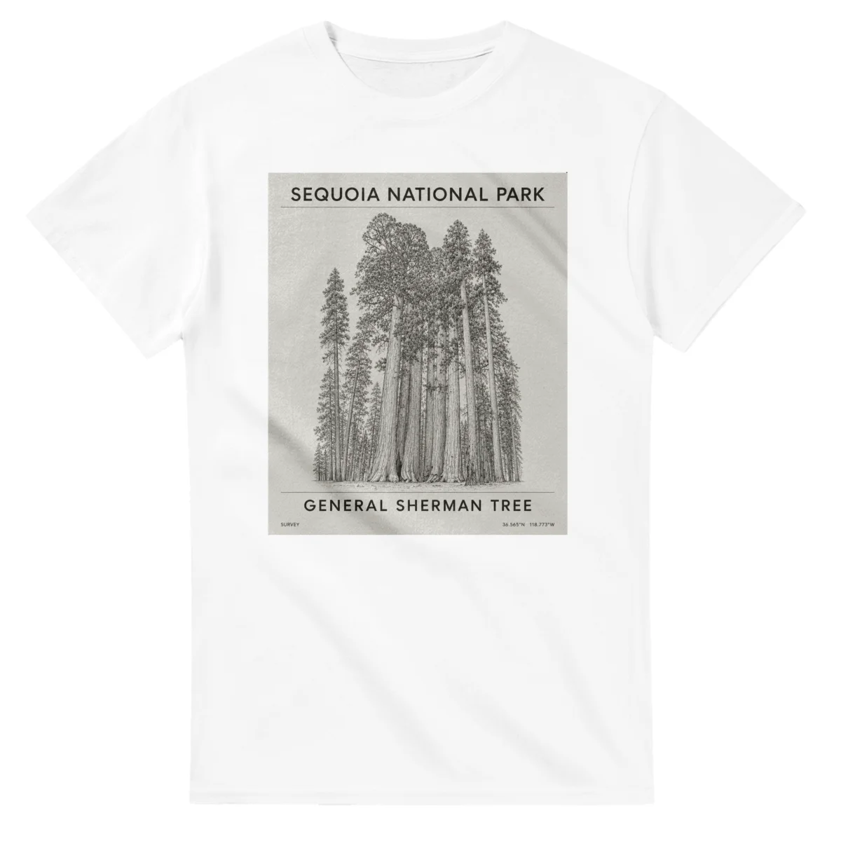 Fine-line engraving-style drawing for Sequoia National Park, with a landmark caption and small coordinate text.