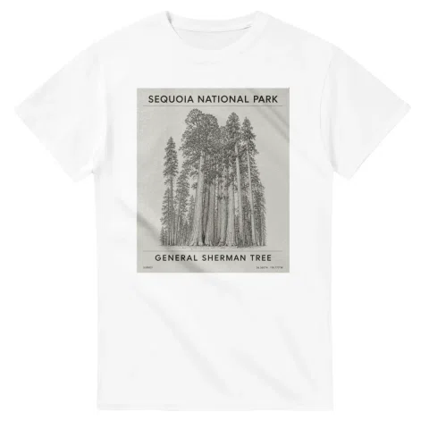 Fine-line engraving-style drawing for Sequoia National Park, with a landmark caption and small coordinate text.