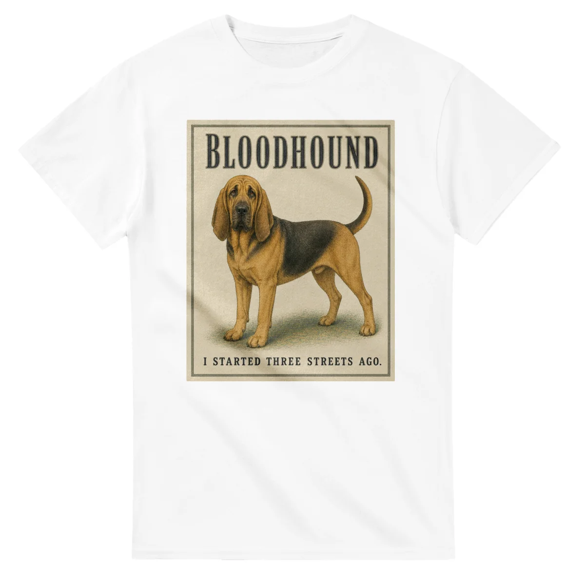 Bloodhound - Well Bred