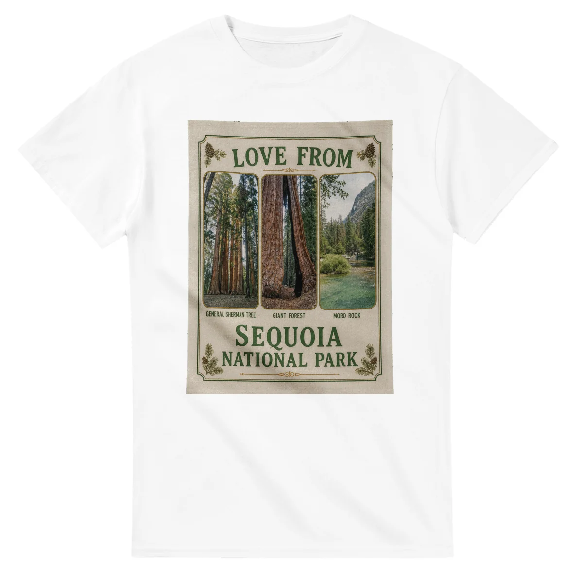 Framed scenic design for Sequoia National Park, with several local views, a decorative border and LOVE FROM lettering.