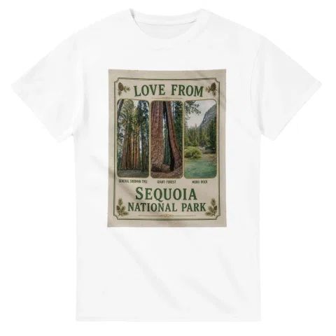 Framed scenic design for Sequoia National Park, with several local views, a decorative border and LOVE FROM lettering.
