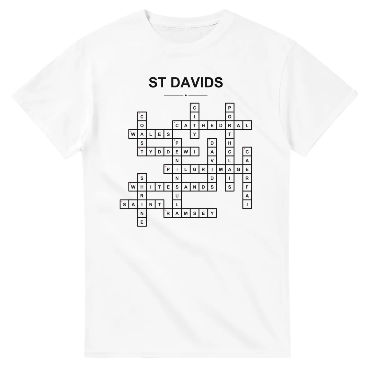 Monochrome crossword sheet for St Davids, with a large place-name heading, a letter grid, and numbered across and down clues.