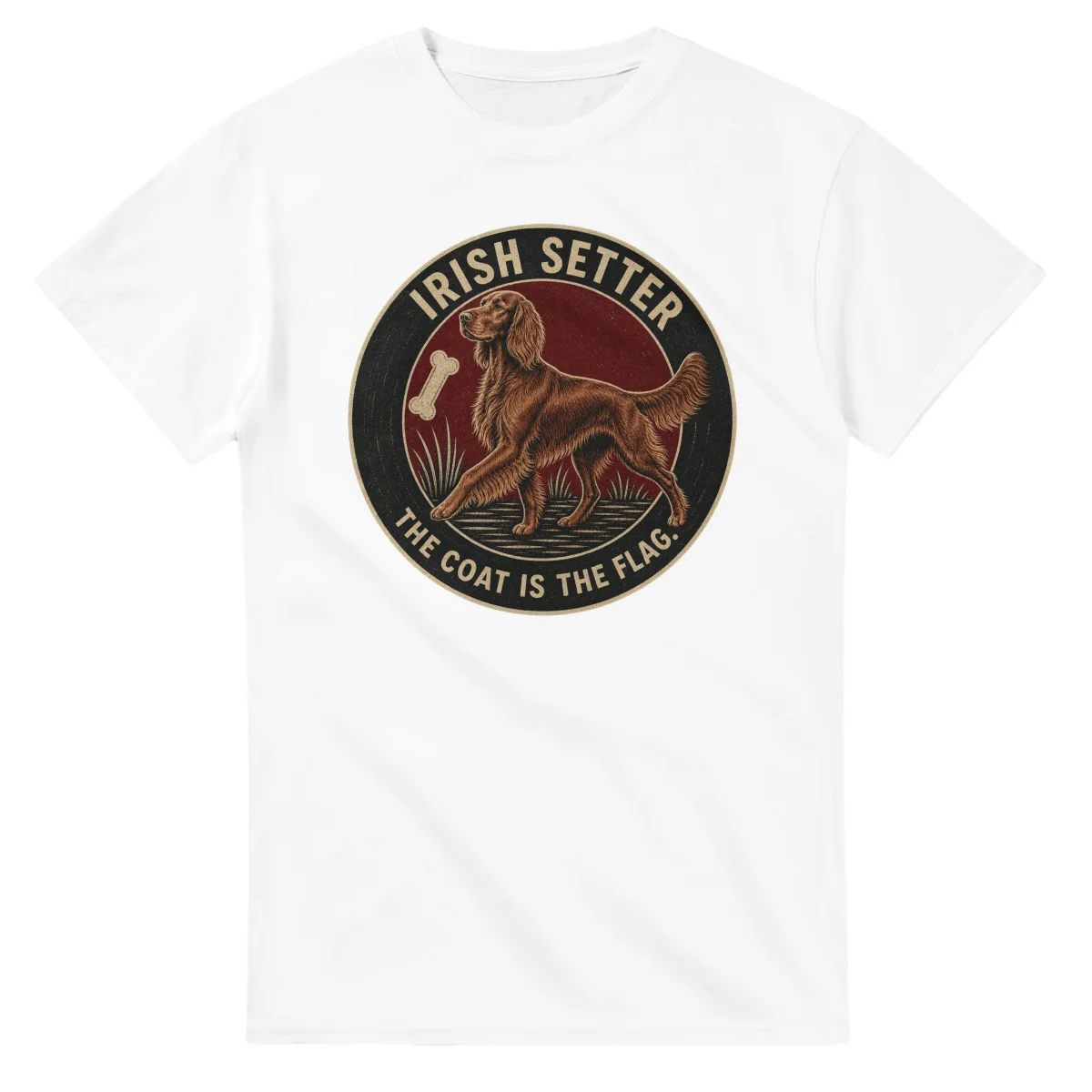 Irish Setter - Best in Show