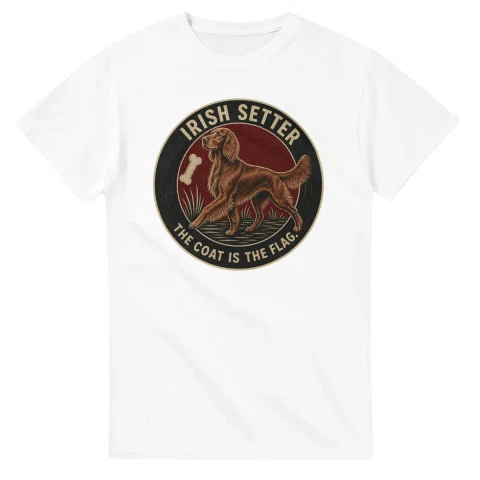 Irish Setter - Best in Show