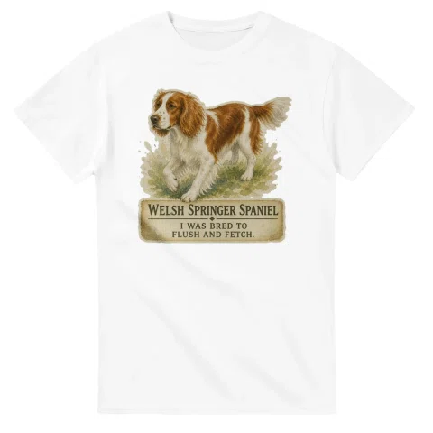 Welsh Springer Spaniel - Working Roots