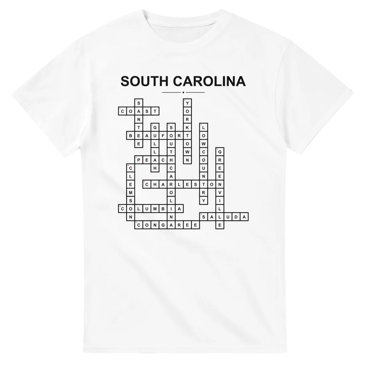 Monochrome crossword sheet for South Carolina, with a large place-name heading, a letter grid, and numbered across and down clues.
