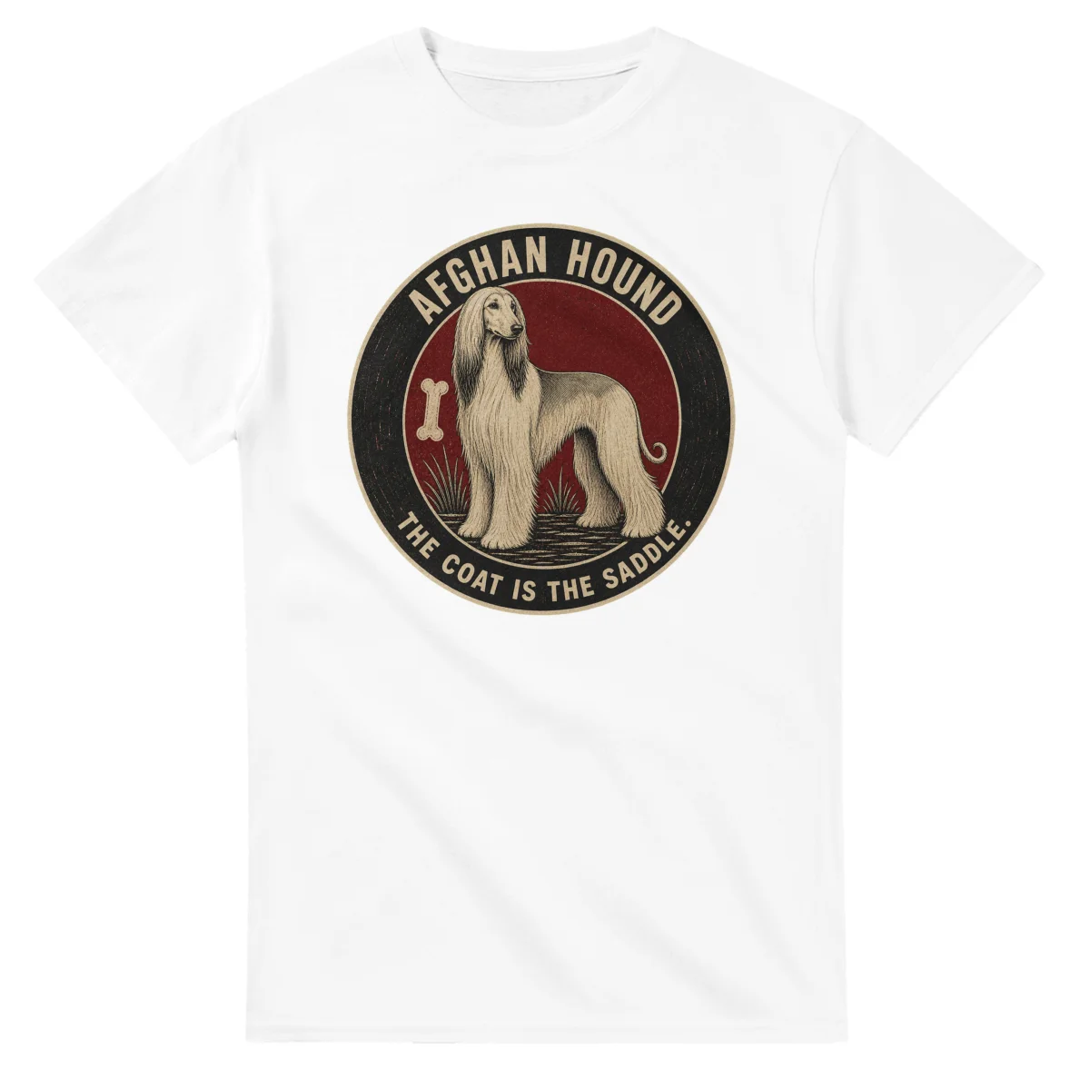 Afghan Hound - Best in Show
