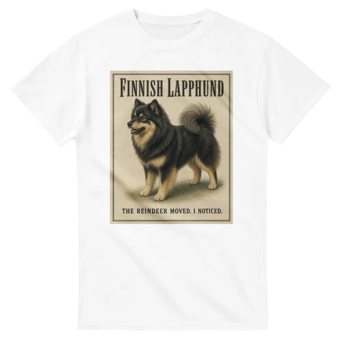 Finnish Lapphund - Well Bred