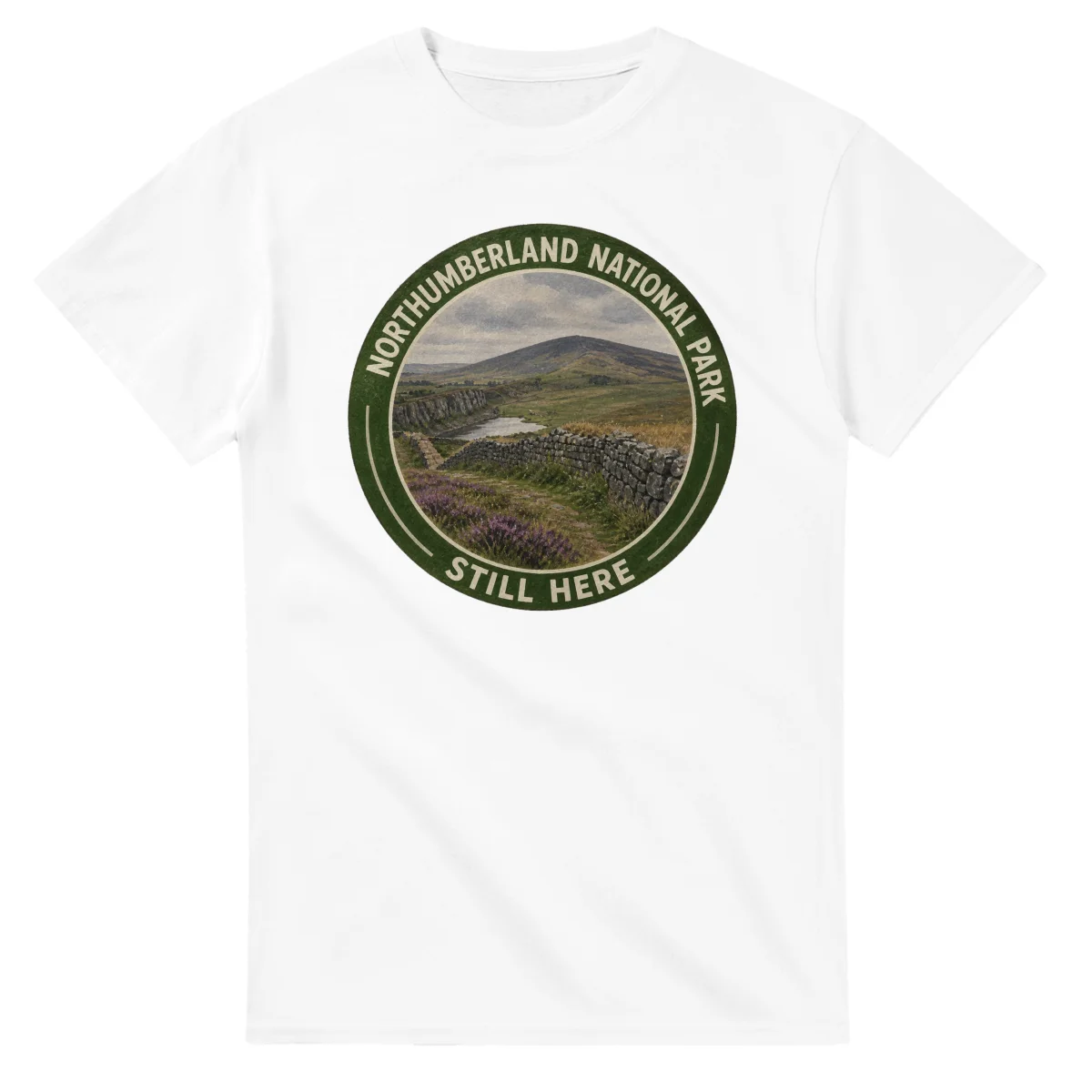 Painted, panelled scenic illustration for Northumberland National Park, with paired local scenes and the place name in lettering.