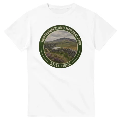 Painted, panelled scenic illustration for Northumberland National Park, with paired local scenes and the place name in lettering.