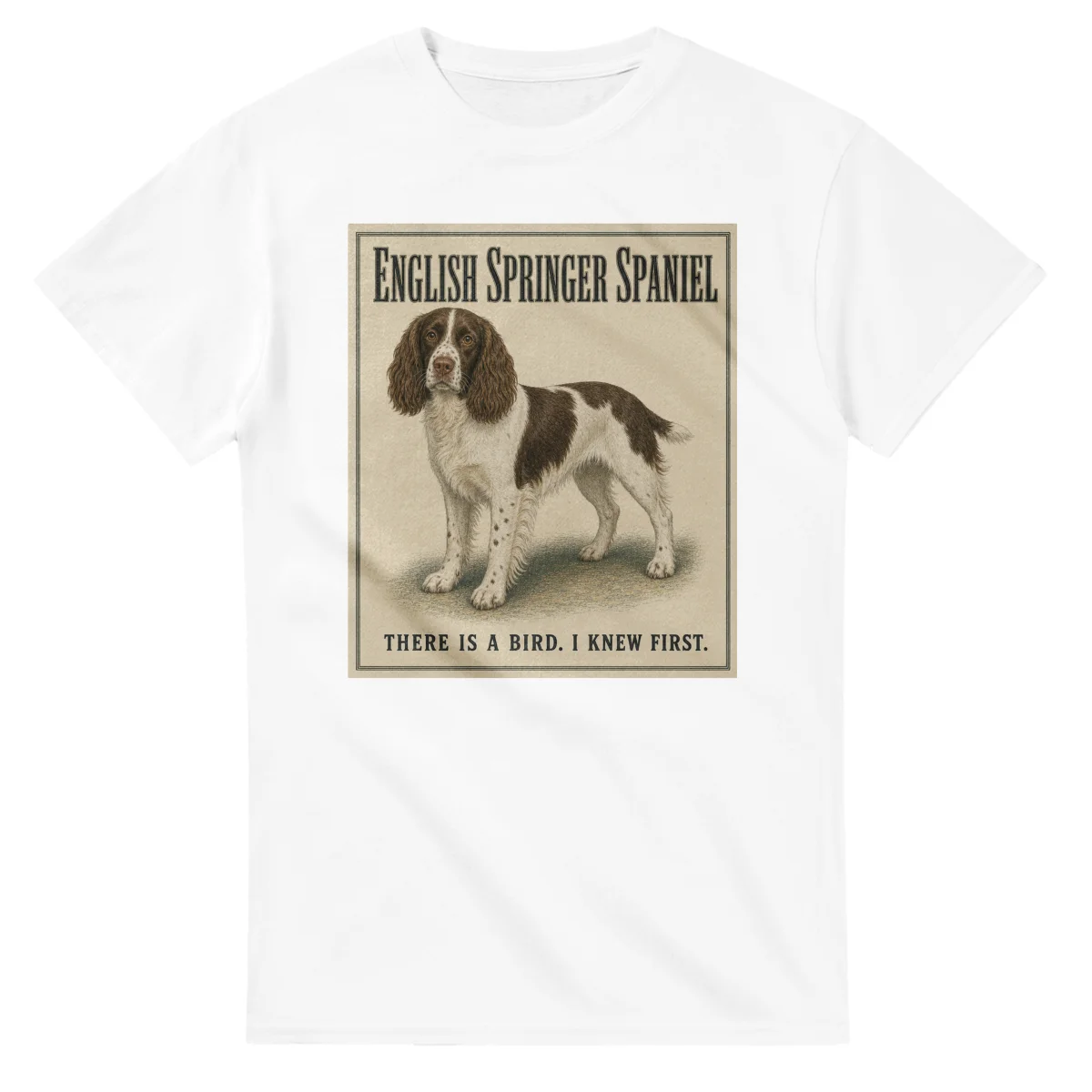 English Springer Spaniel - Well Bred