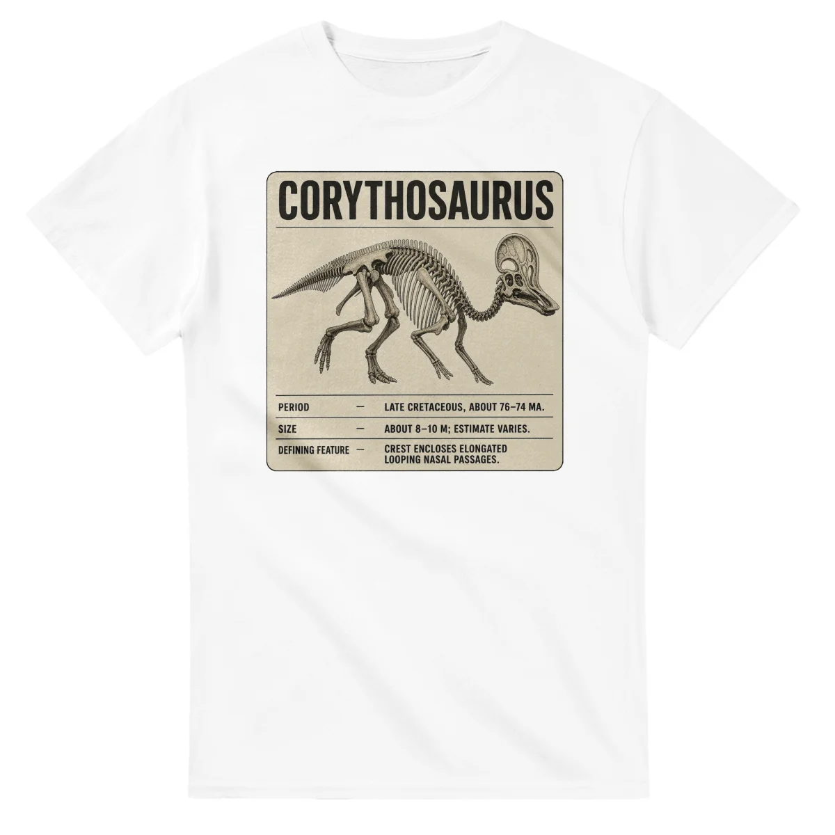 Corythosaurus - Set in Stone