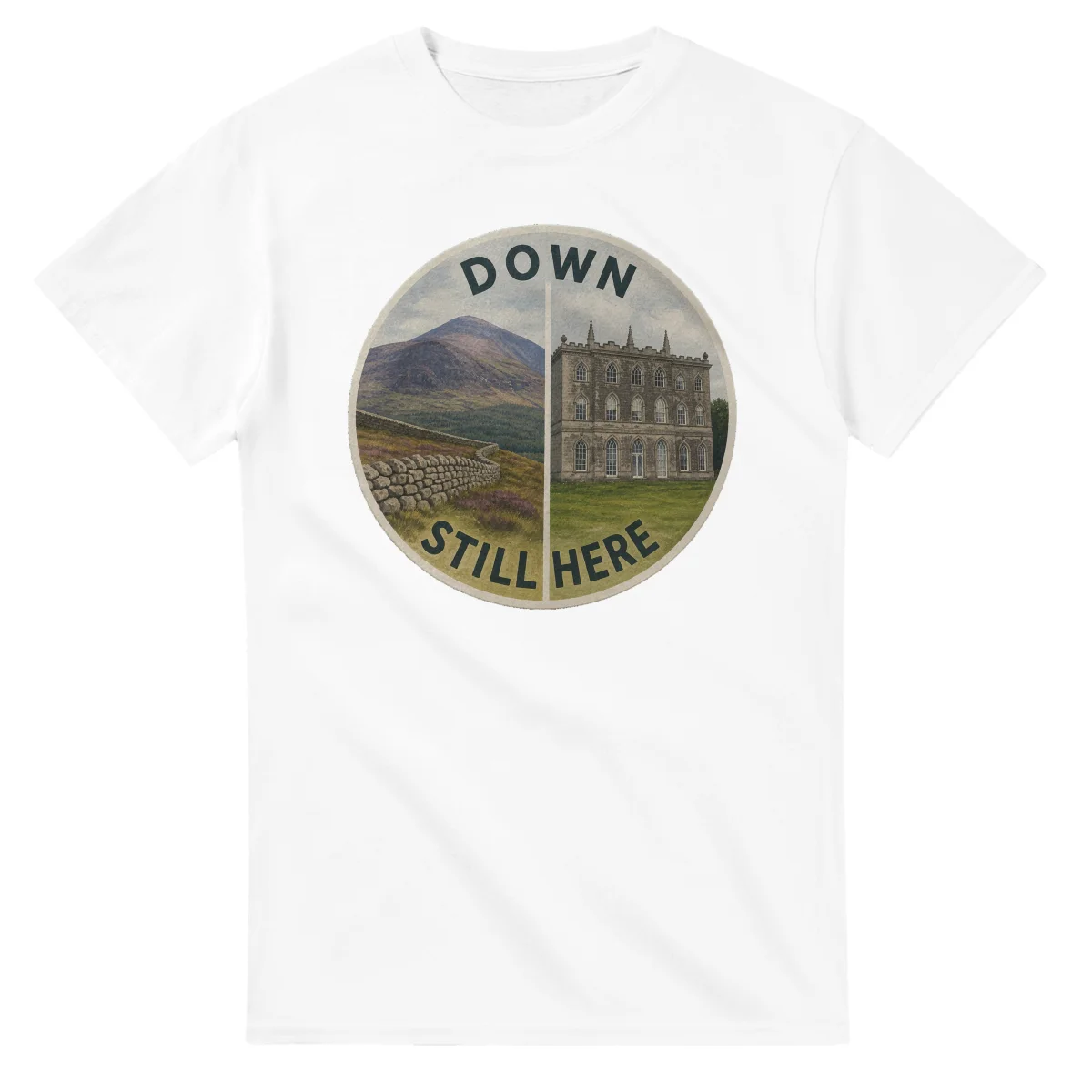 Painted, panelled scenic illustration for Down, with paired local scenes and the place name in lettering.