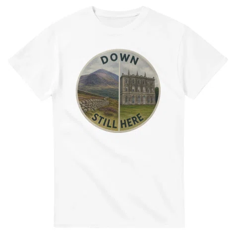 Painted, panelled scenic illustration for Down, with paired local scenes and the place name in lettering.