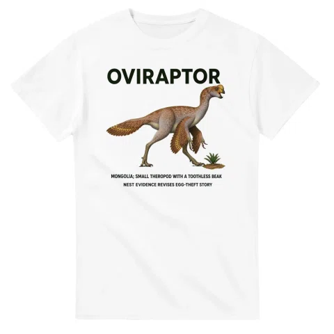 Oviraptor - Artist's Impression