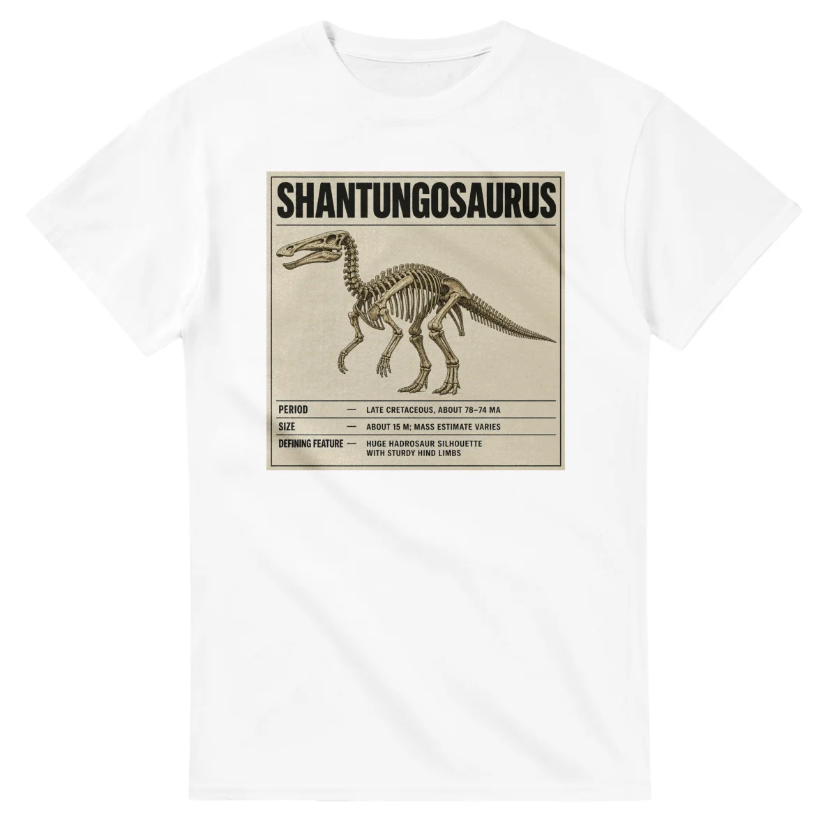 Shantungosaurus - Set in Stone