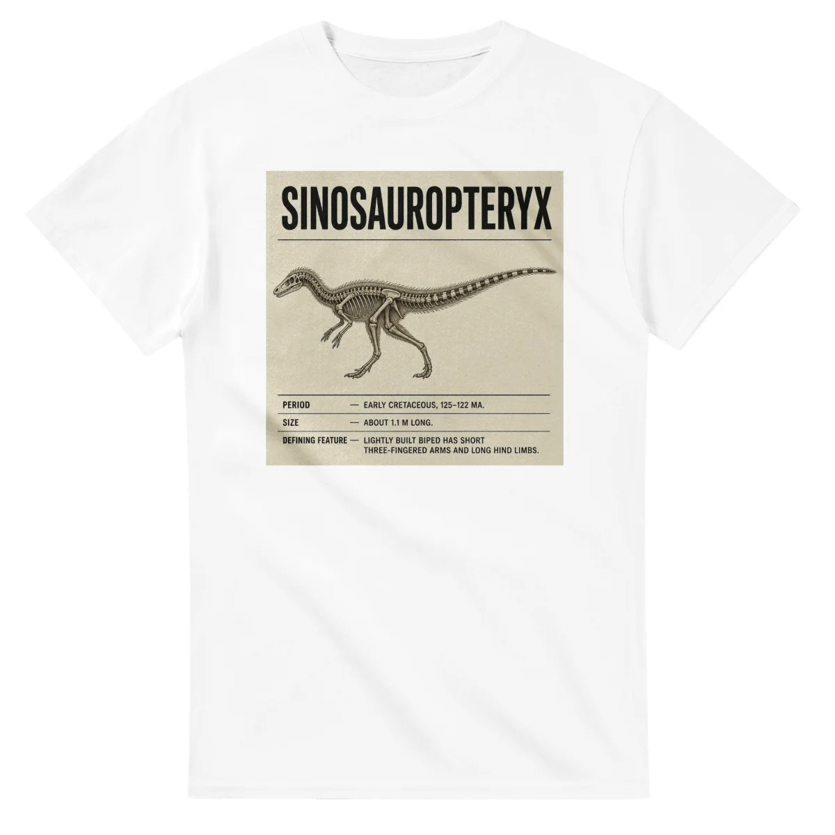 Sinosauropteryx - Set in Stone