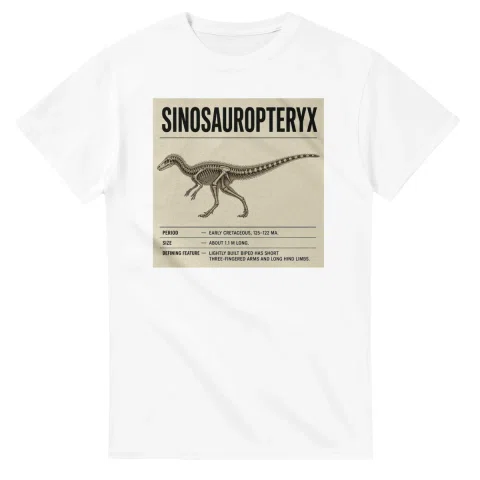 Sinosauropteryx - Set in Stone