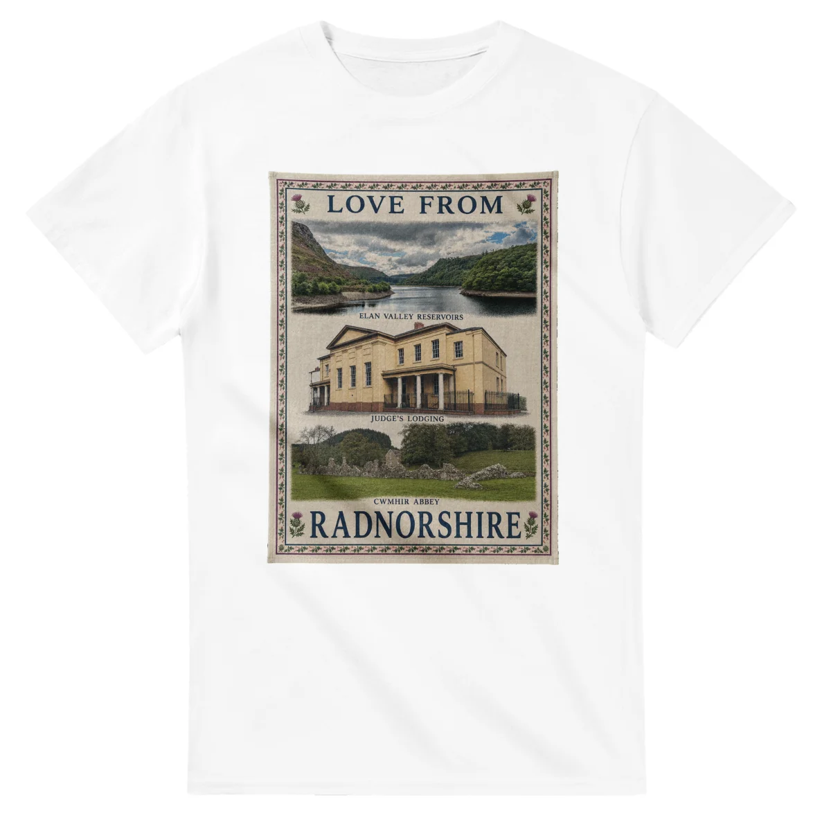Framed scenic design for Radnorshire, with several local views, a decorative border and LOVE FROM lettering.