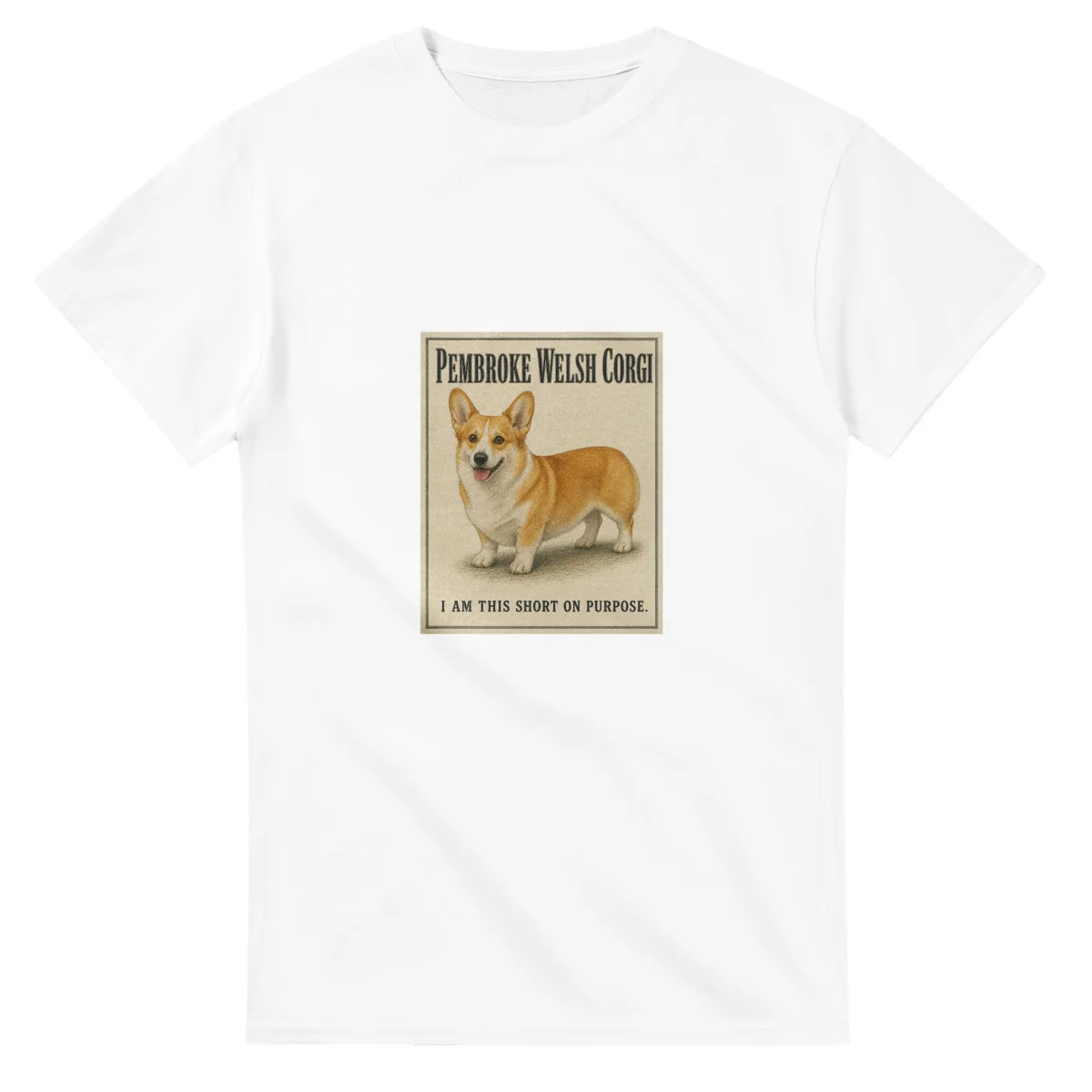 Pembroke Welsh Corgi - Well Bred