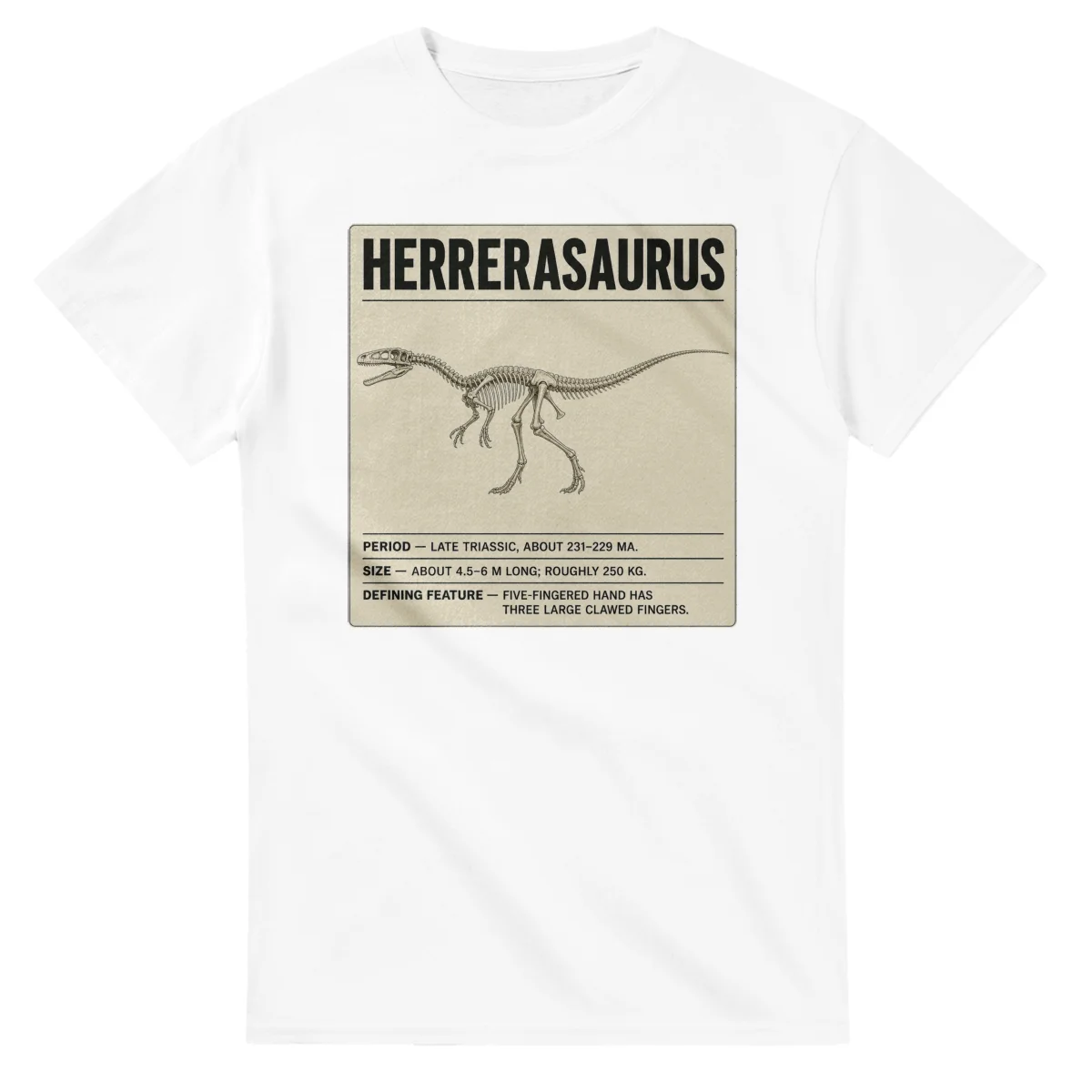 Herrerasaurus - Set in Stone