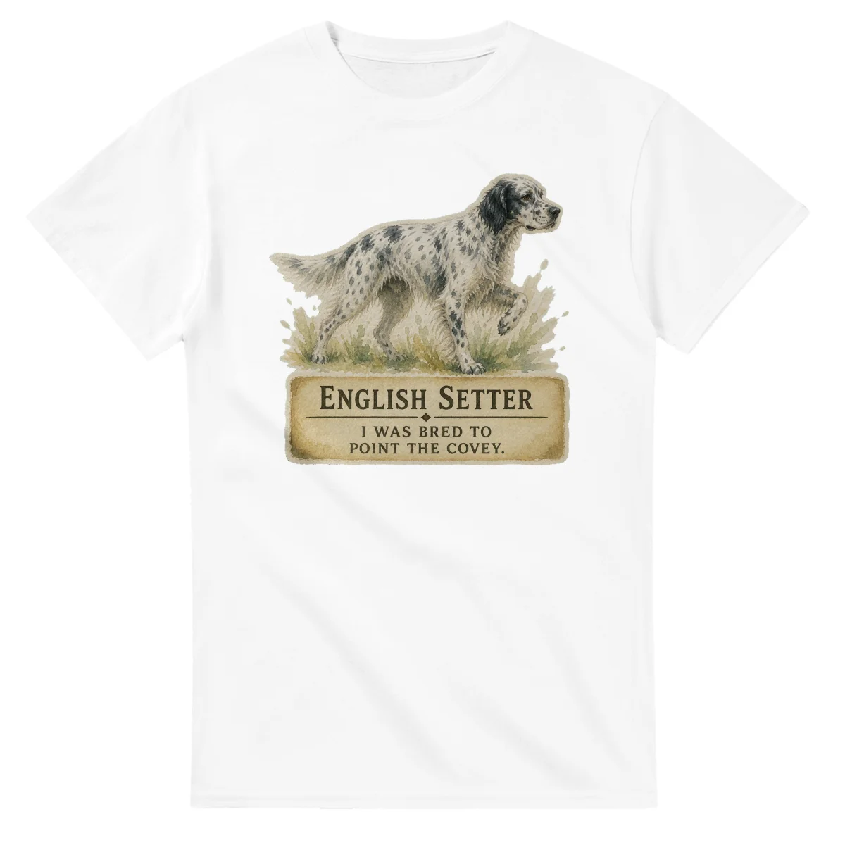 English Setter - Working Roots