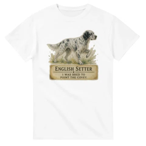 English Setter - Working Roots