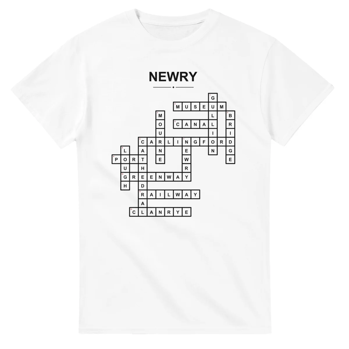 Monochrome crossword sheet for Newry, with a large place-name heading, a letter grid, and numbered across and down clues.