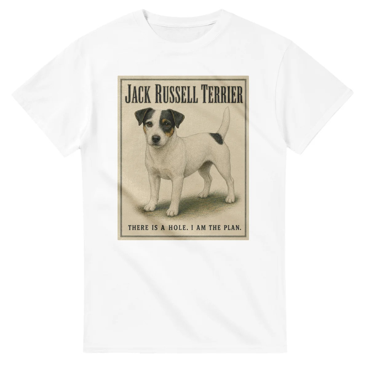 Jack Russell Terrier - Well Bred