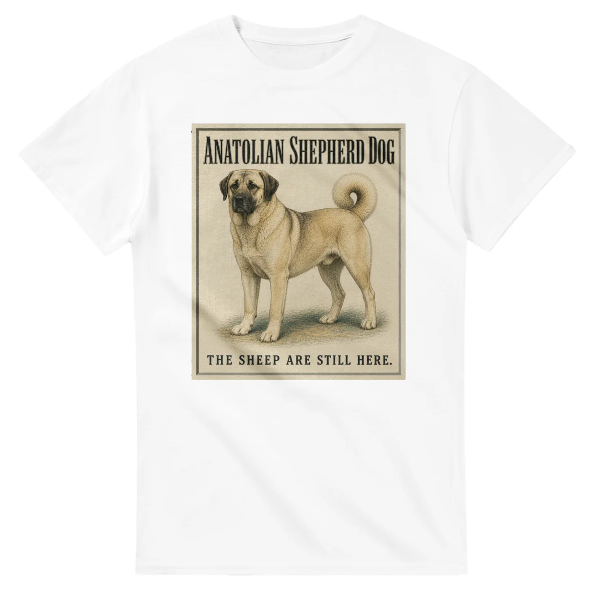 Anatolian Shepherd Dog - Well Bred