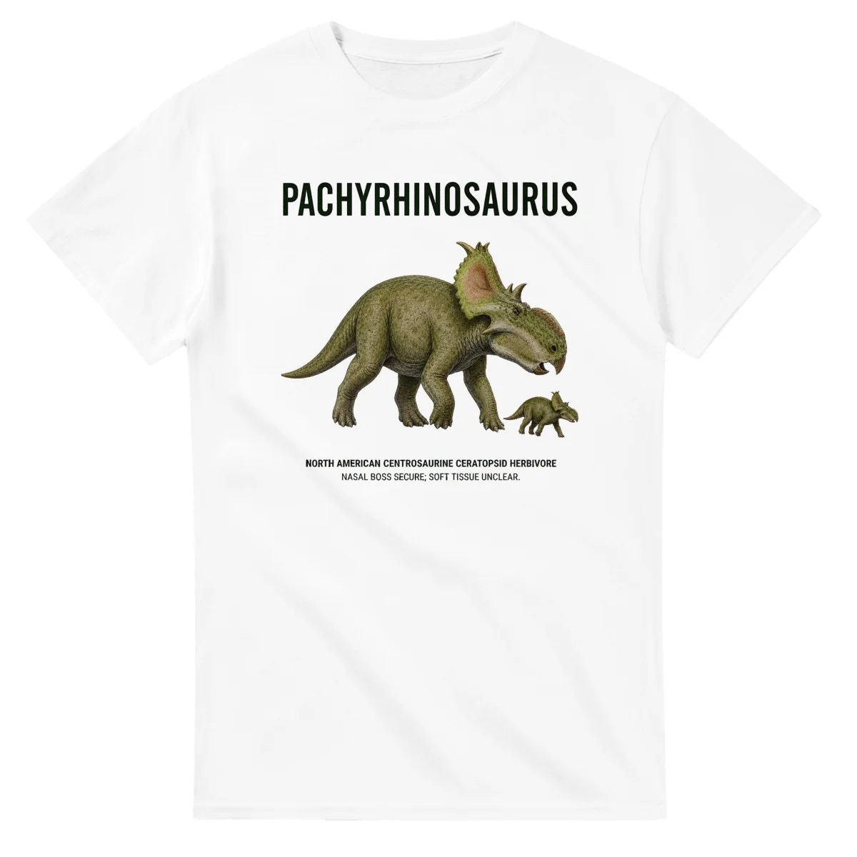 Pachyrhinosaurus - Artist's Impression