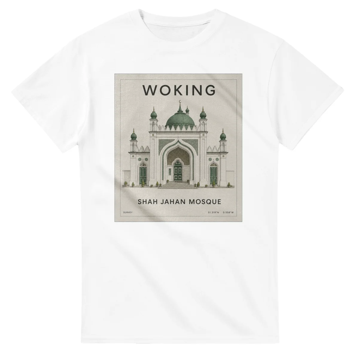 Fine-line engraving-style drawing for Woking, with a landmark caption and small coordinate text.