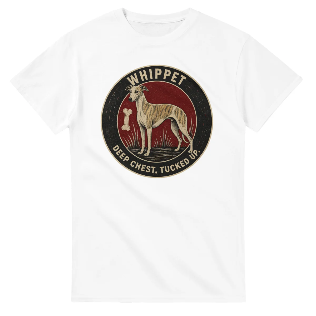 Whippet - Deep Chest, Tucked Up