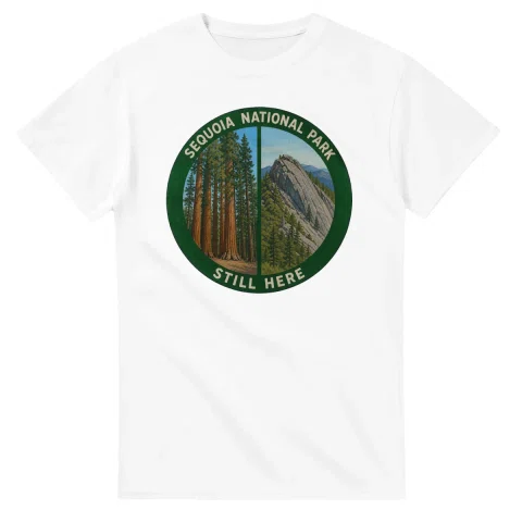 Painted, panelled scenic illustration for Sequoia National Park, with paired local scenes and the place name in lettering.