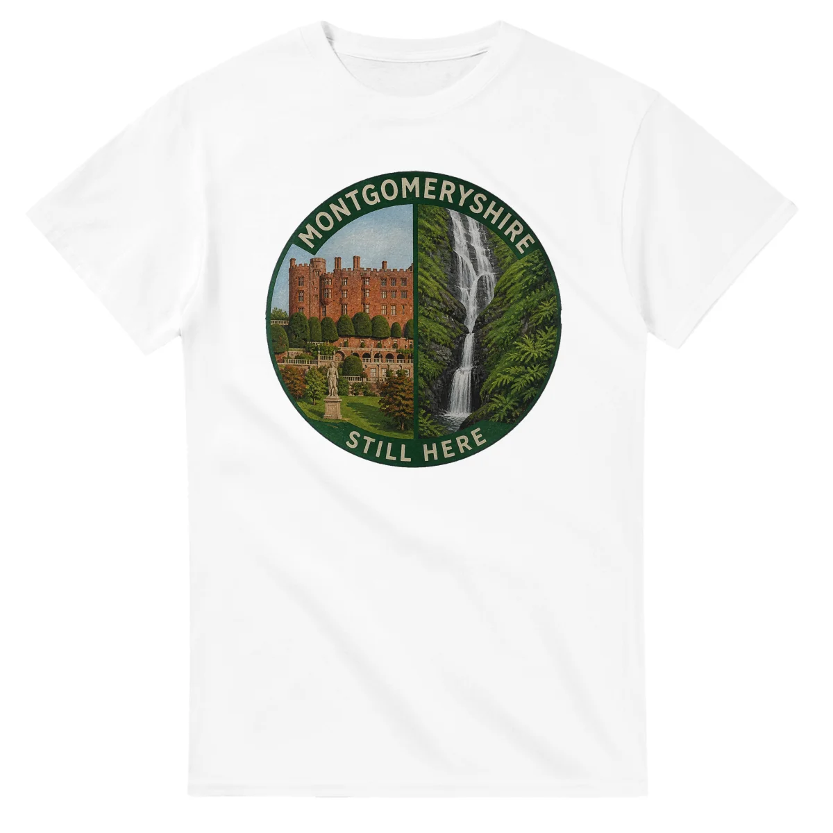 Painted, panelled scenic illustration for Montgomeryshire, with paired local scenes and the place name in lettering.