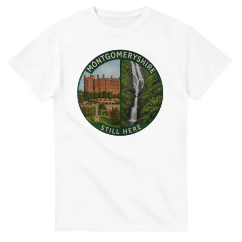 Painted, panelled scenic illustration for Montgomeryshire, with paired local scenes and the place name in lettering.