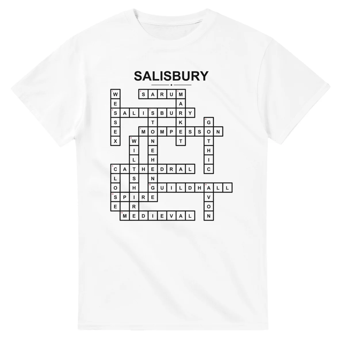 Monochrome crossword sheet for Salisbury, with a large place-name heading, a letter grid, and numbered across and down clues.