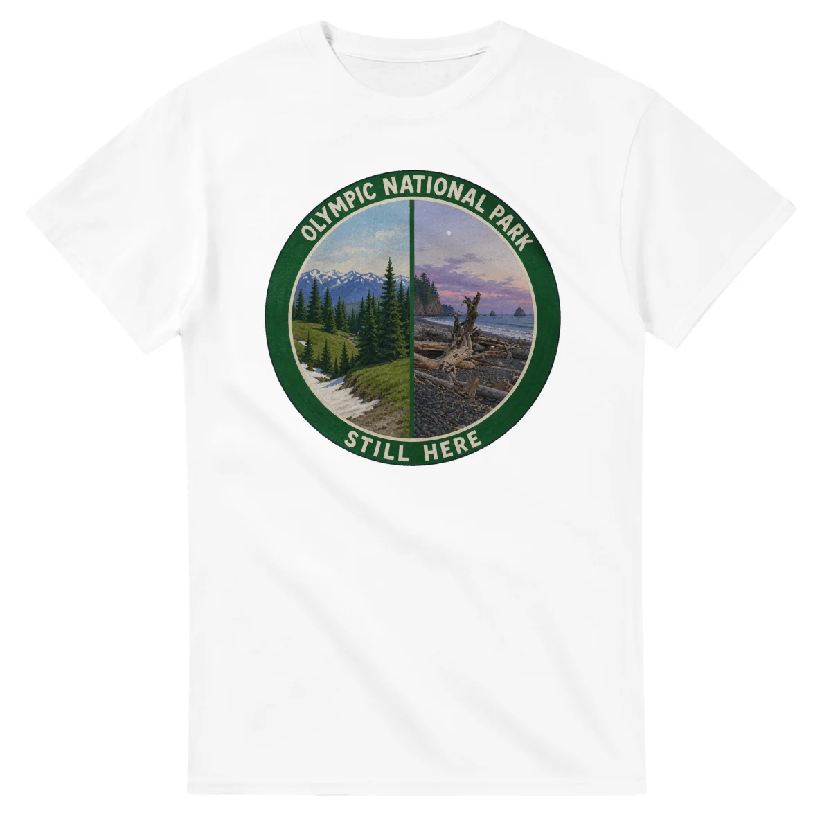 Painted, panelled scenic illustration for Olympic National Park, with paired local scenes and the place name in lettering.
