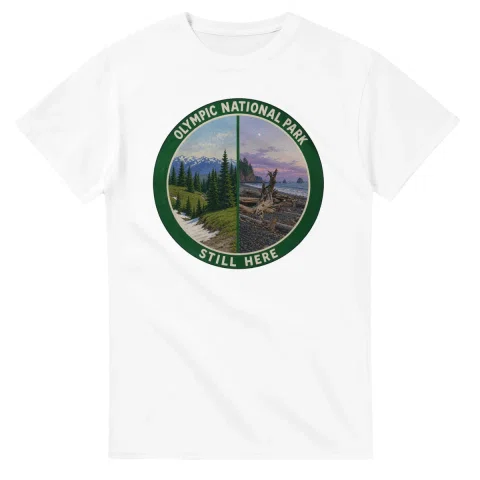 Painted, panelled scenic illustration for Olympic National Park, with paired local scenes and the place name in lettering.